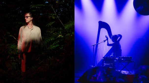 Julie Campiche – Unspoken | Raphael Vanoli Solo artwork from BIMHUIS